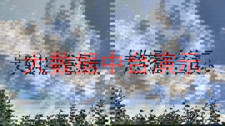 大数据中台演示