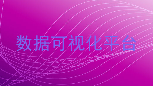 数据可视化平台