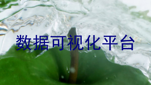 数据可视化平台