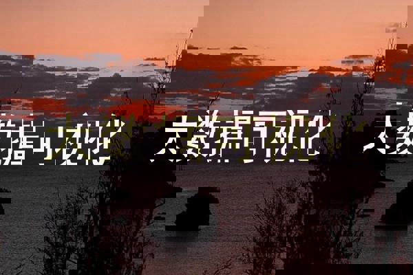 大数据可视化