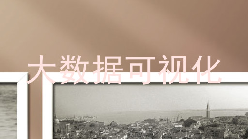 大数据可视化