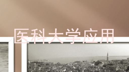 医科大学应用