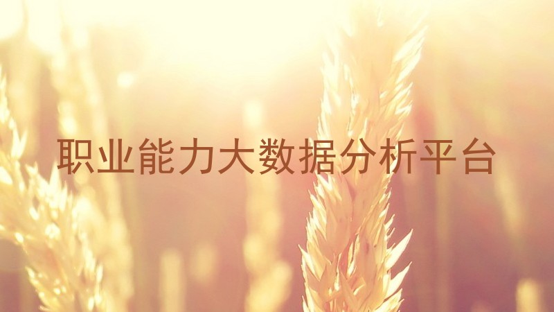 职业能力大数据分析平台