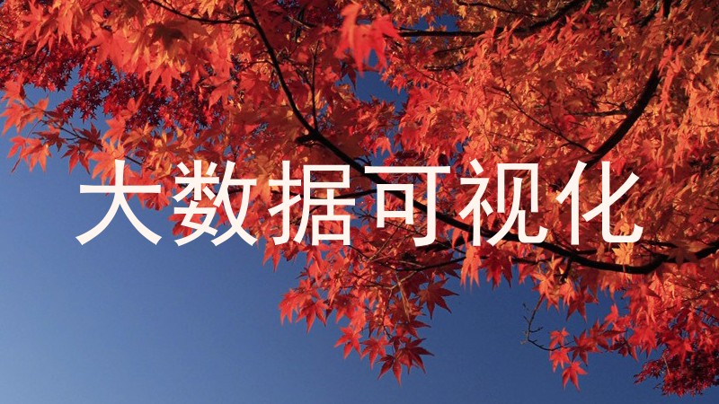 大数据可视化