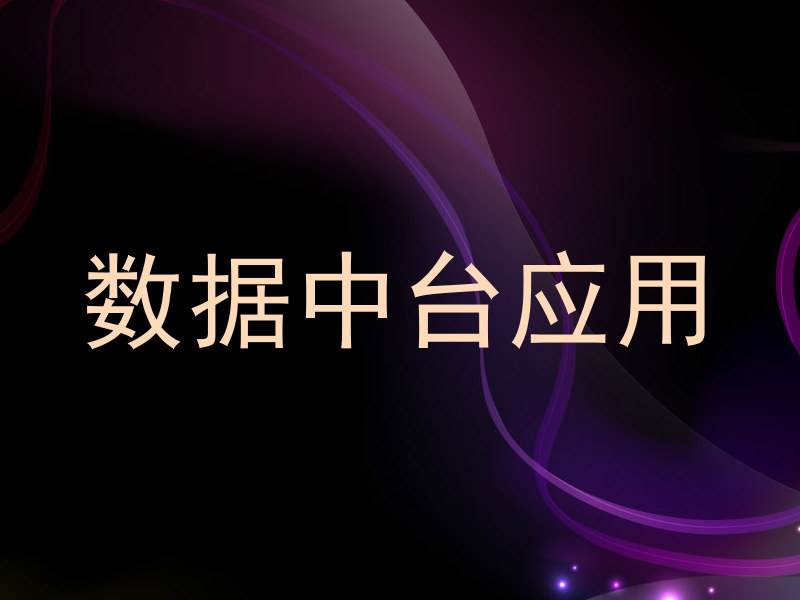数据中台应用