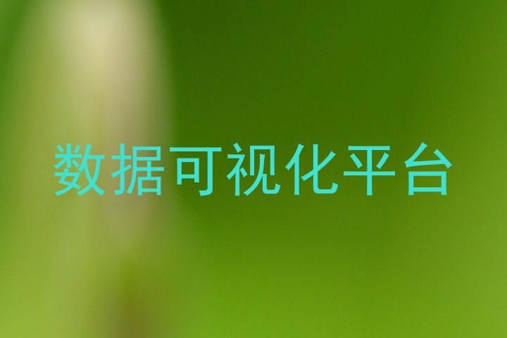 数据可视化平台