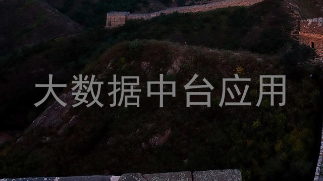大数据中台应用