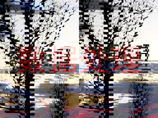 数据处理