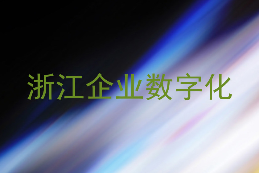 浙江企业数字化