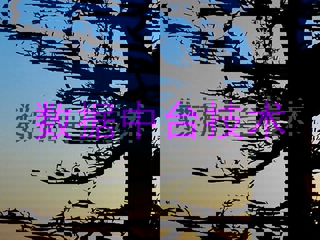 数据中台技术