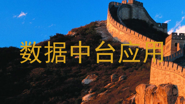 数据中台应用