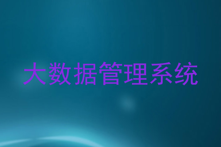 大数据管理系统