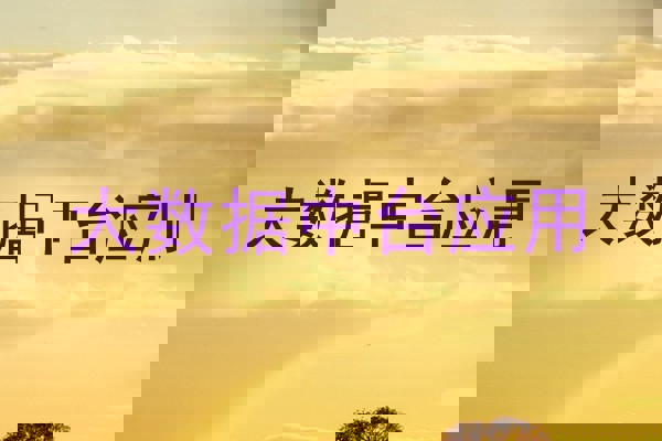 大数据中台应用