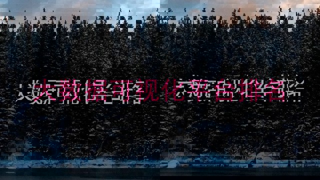 大数据可视化平台排名
