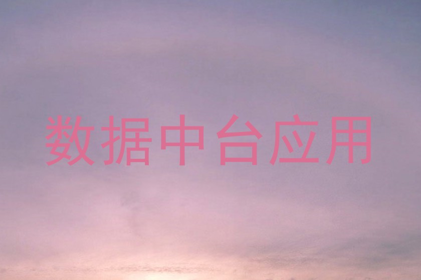 数据中台应用