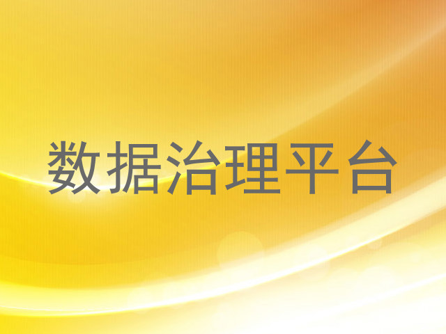 数据治理平台