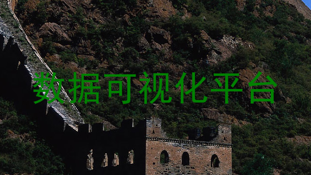 数据可视化平台