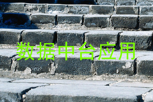 数据中台应用