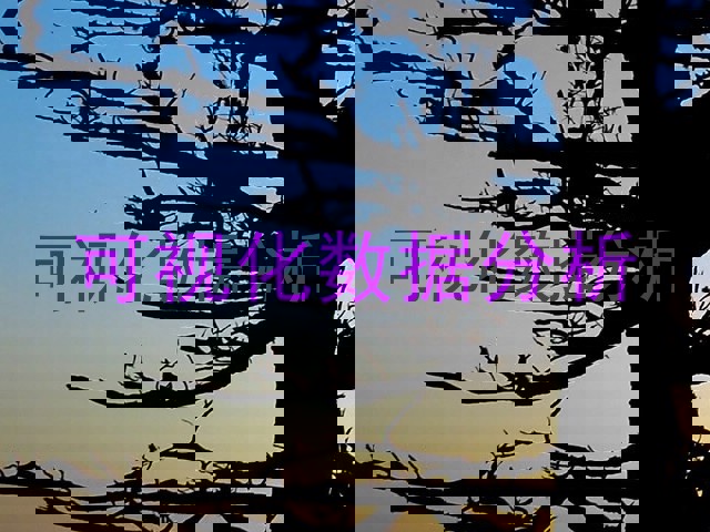 可视化数据分析