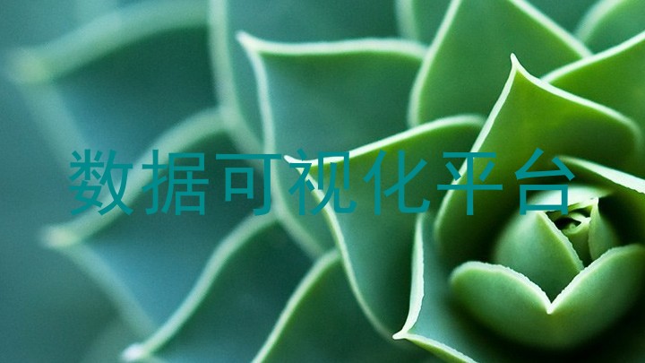 数据可视化平台