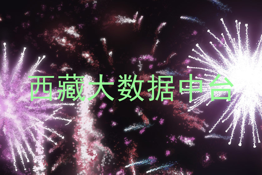 西藏大数据中台