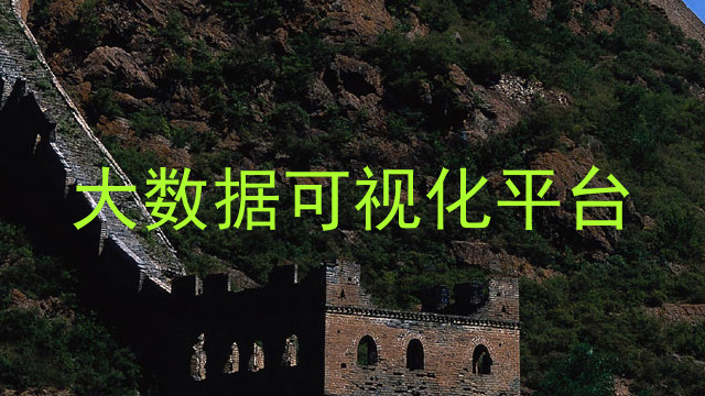 大数据可视化平台