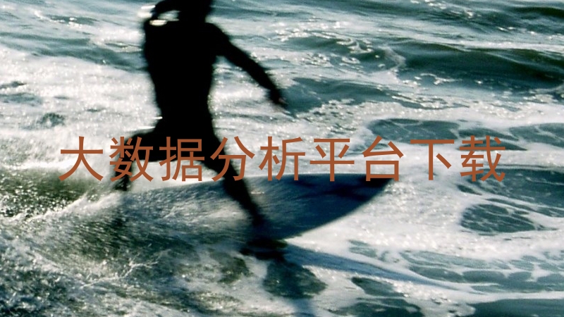 大数据分析平台下载
