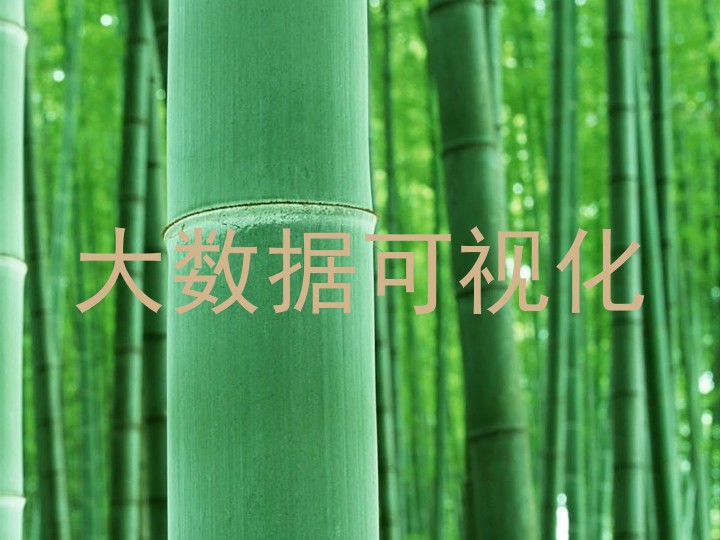大数据可视化