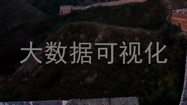 大数据可视化