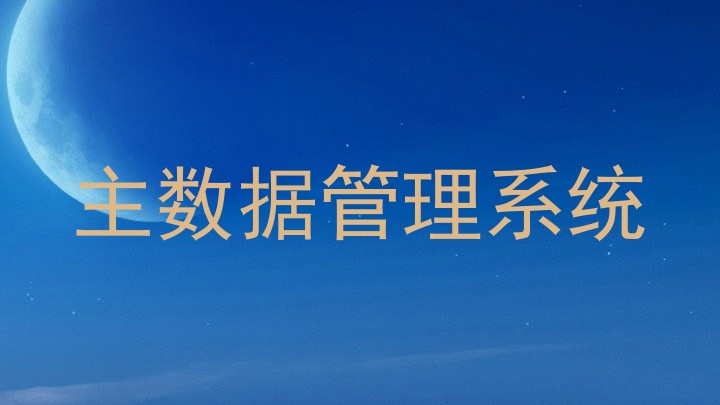 主数据管理系统