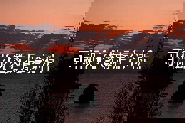 可视化数据分析