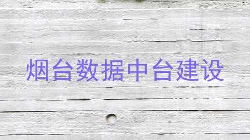烟台数据中台建设