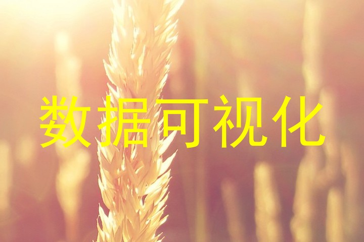 数据可视化