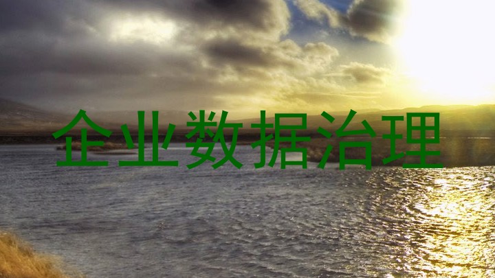 企业数据治理