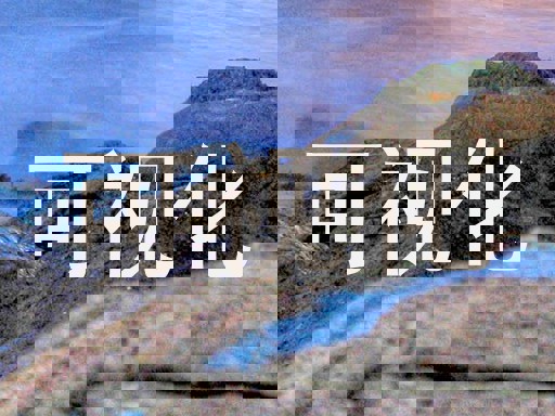 可视化