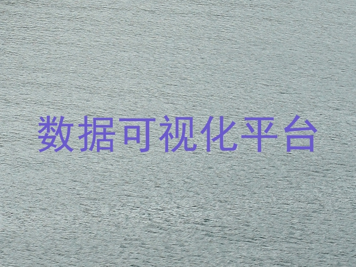 数据可视化平台