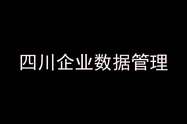 四川企业数据管理
