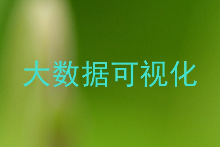 大数据可视化