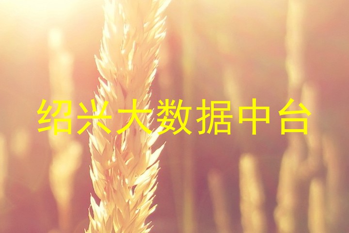 绍兴大数据中台