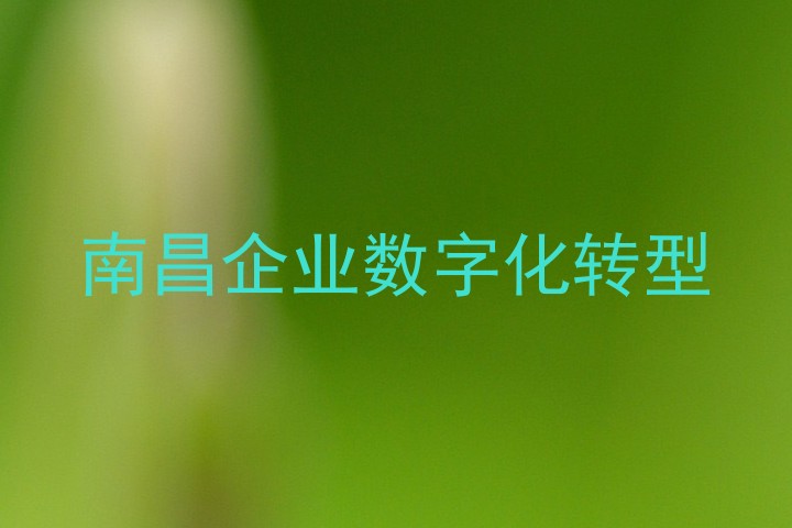 南昌企业数字化转型