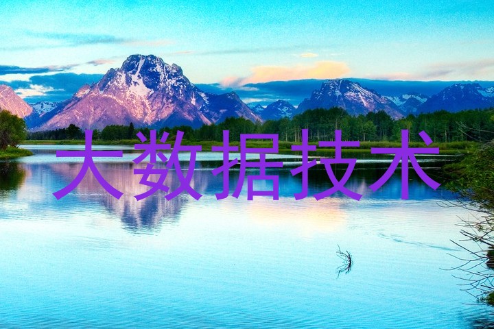 大数据技术