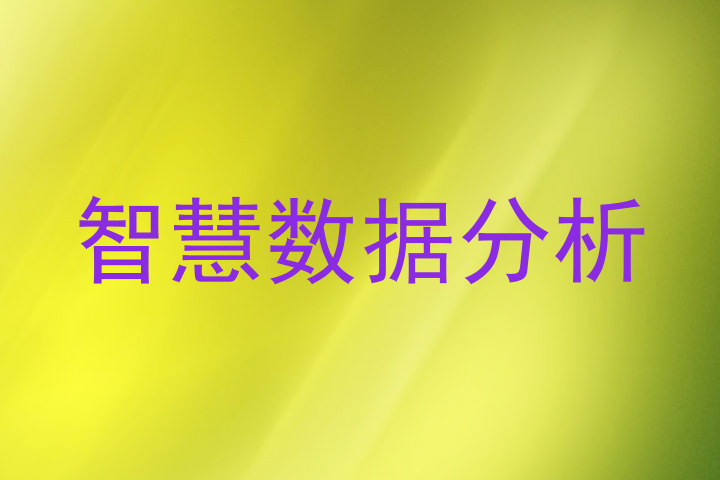 智慧数据分析