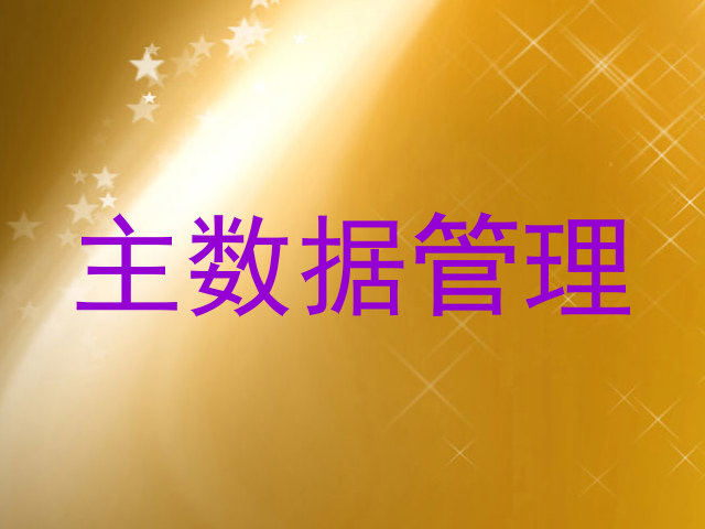 主数据管理