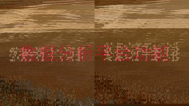 数据分析平台功能