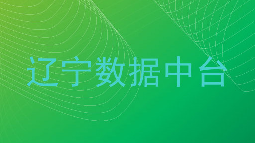 辽宁数据中台
