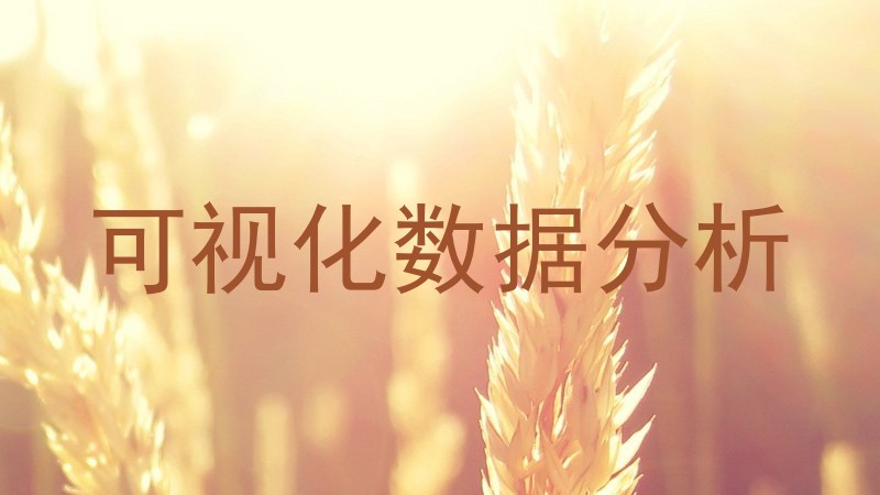 可视化数据分析