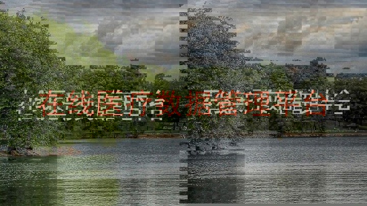 在线医疗数据管理平台