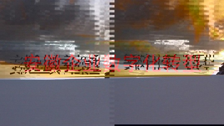 安徽企业数字化转型