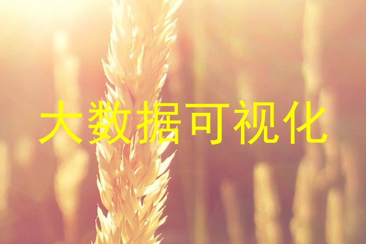 大数据可视化