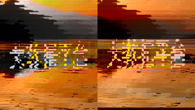 大数据平台